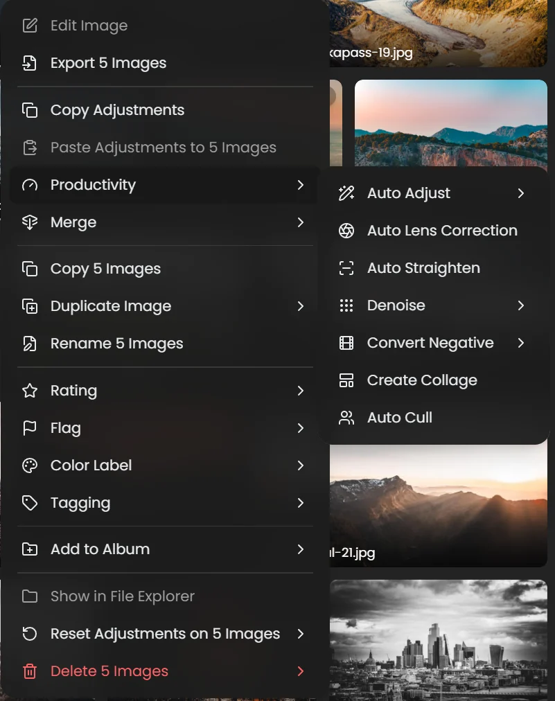 Library right-click menu with the Productivity submenu open, showing Auto Adjust, Auto Lens Correction, Auto Straighten, Denoise, Convert Negative, Create Collage and Auto Cull
