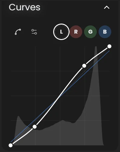 Curves section with the Point Curve and Parametric Curve buttons on the left, L R G B channel buttons on the right, and an S-curve over the histogram