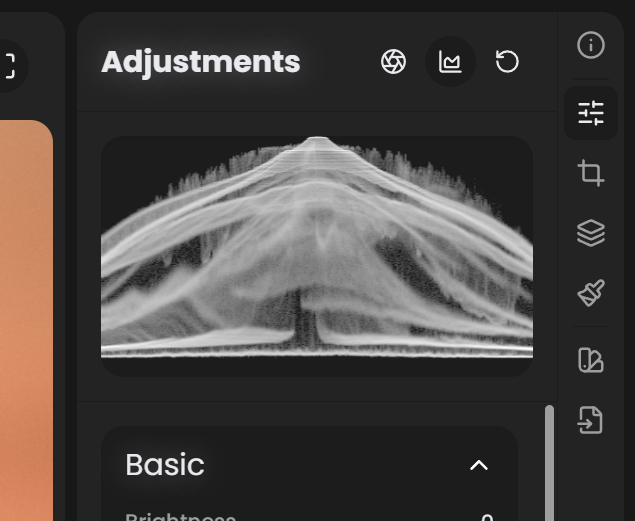 Image analytics panel showing a waveform display at the top of the Adjustments panel