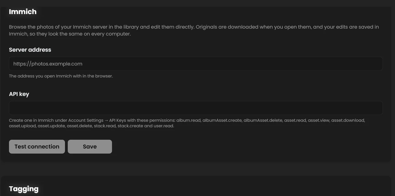 Immich settings with Server address, API key, and Test connection and Save buttons