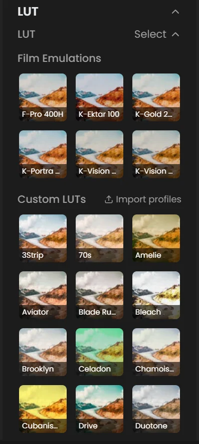 LUT browser with previews of the built-in Film Emulations and imported custom LUTs