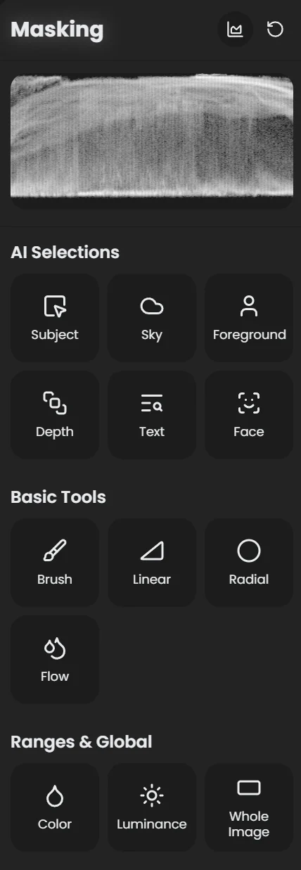 Masking panel showing three groups of mask tools: AI Selections, Basic Tools, and Ranges and Global