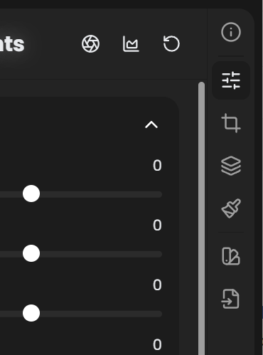 Adjustments panel showing the histogram at the top, panel-switcher icons on the right, and the Basic section header