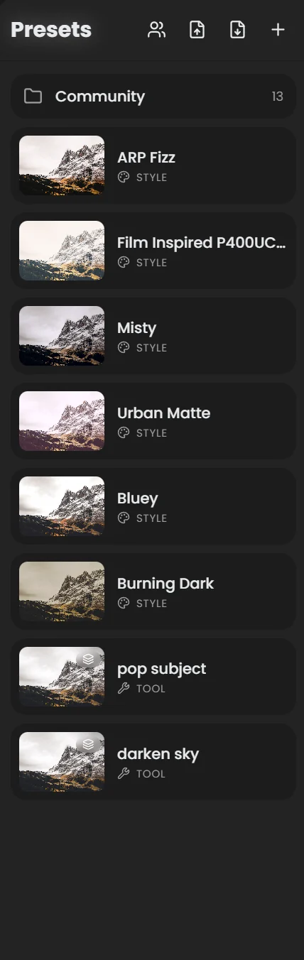 Presets panel with a Community folder and presets labeled Style or Tool, each with a live thumbnail of the current photo