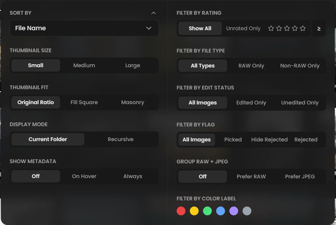 View Options menu with Sort By, Thumbnail Size, Thumbnail Fit, Display Mode and Show Metadata on the left, and filters for rating, file type, edit status, flag, RAW plus JPEG grouping and color label on the right